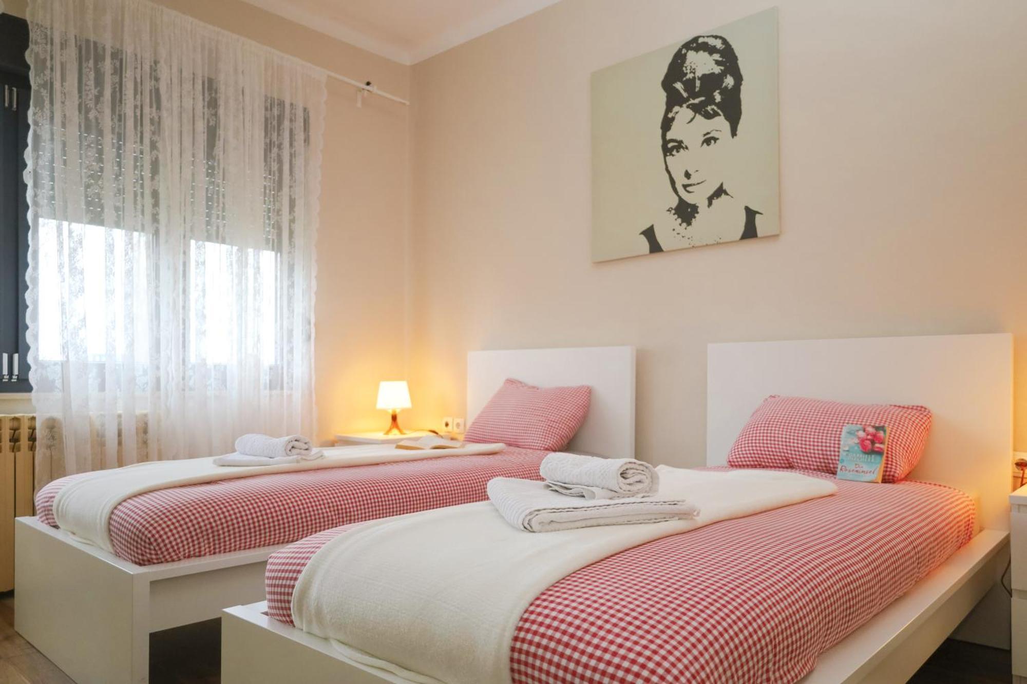 Kamena Kuca Apartment Pozega Bagian luar foto